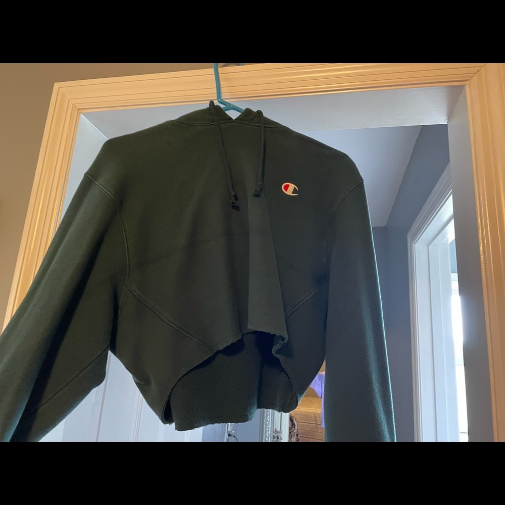 champion cropped hoodie
